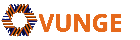 Grupo Vunge